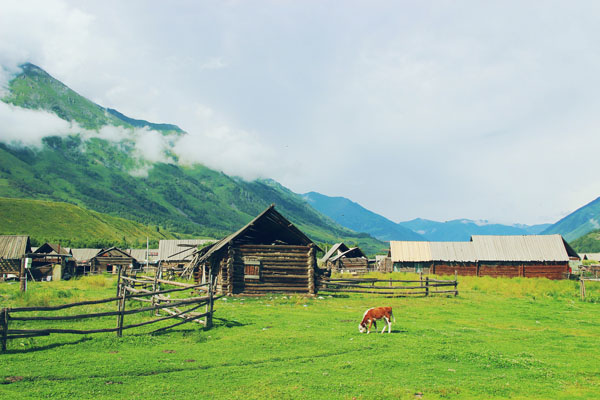純玩南北疆（可可托海、喀納斯、禾木、伊犁）純玩10日游